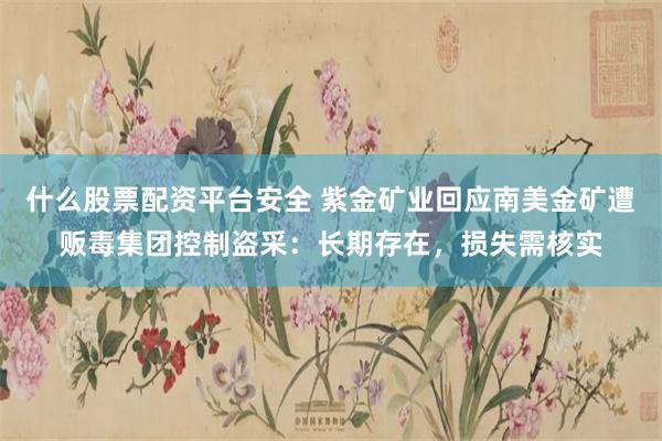 什么股票配资平台安全 紫金矿业回应南美金矿遭贩毒集团控制盗采：长期存在，损失需核实