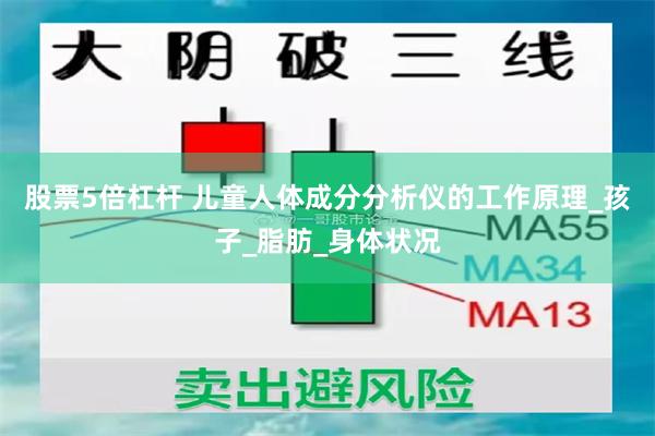 股票5倍杠杆 儿童人体成分分析仪的工作原理_孩子_脂肪_身体状况