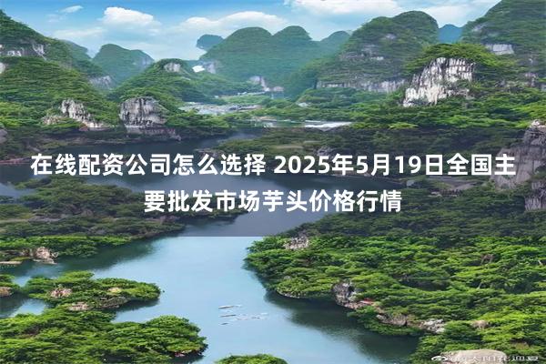 在线配资公司怎么选择 2025年5月19日全国主要批发市场芋头价格行情