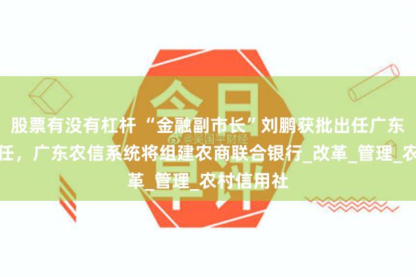 股票有没有杠杆 “金融副市长”刘鹏获批出任广东省联社主任，广东农信系统将组建农商联合银行_改革_管理_农村信用社