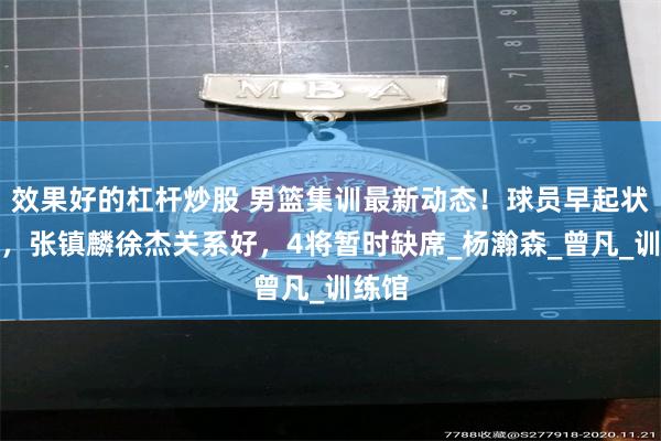 效果好的杠杆炒股 男篮集训最新动态！球员早起状态差，张镇麟徐杰关系好，4将暂时缺席_杨瀚森_曾凡_训练馆