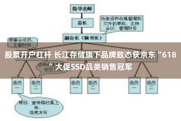 股票开户杠杆 长江存储旗下品牌致态获京东“618”大促SSD品类销售冠军