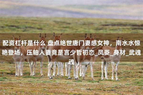 配资杠杆是什么 盘点绝世唐门妻感女神，南水水惊艳登场，压轴人妻竟是言少哲初恋_凤菱_身材_武魂