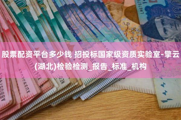 股票配资平台多少钱 招投标国家级资质实验室-擎云(湖北)检验检测_报告_标准_机构