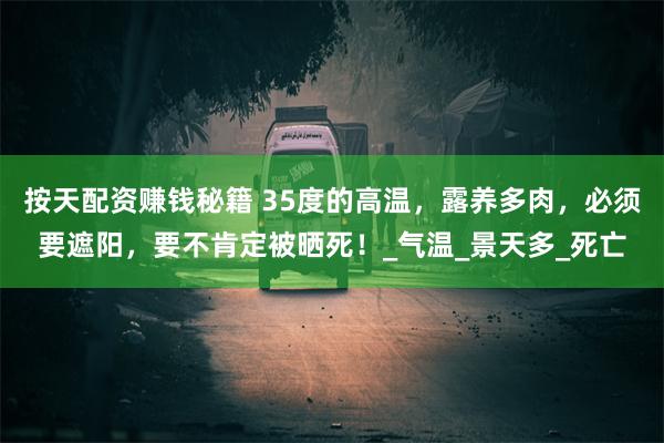 按天配资赚钱秘籍 35度的高温，露养多肉，必须要遮阳，要不肯定被晒死！_气温_景天多_死亡